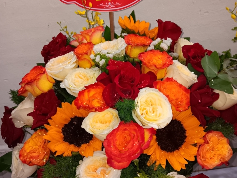 Cảm ơn các trường mầm non đã đồng hành cùng chúng tôi trong thời gian qua.