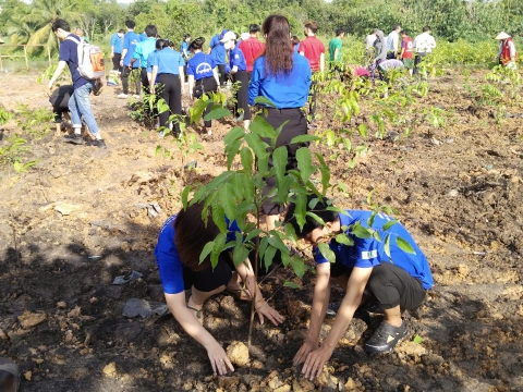 Lễ phát động TRỒNG CÂY XANH trên địa bản tỉnh Bình Dương